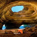 #194 Dream Stylish & Bright