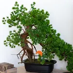 Apartamento #194 Dream Stylish & Bright *